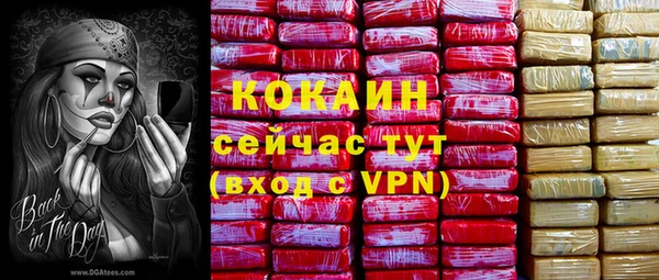 крисы Белоозёрский