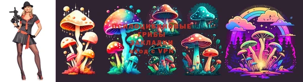 гашиш Белокуриха