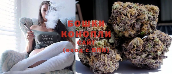 крисы Белоозёрский