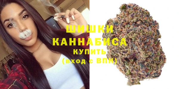 гашик Богородицк